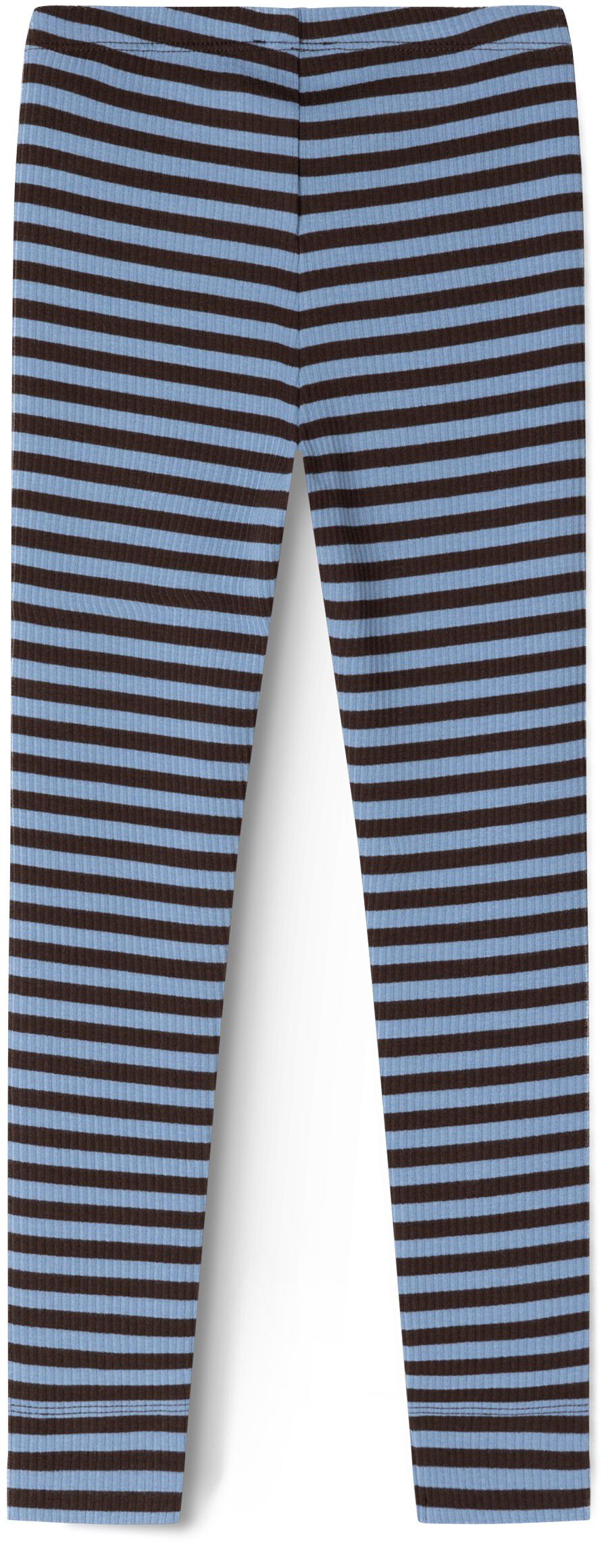 Leg