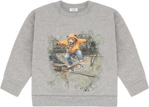 HCSejer Skating Bear