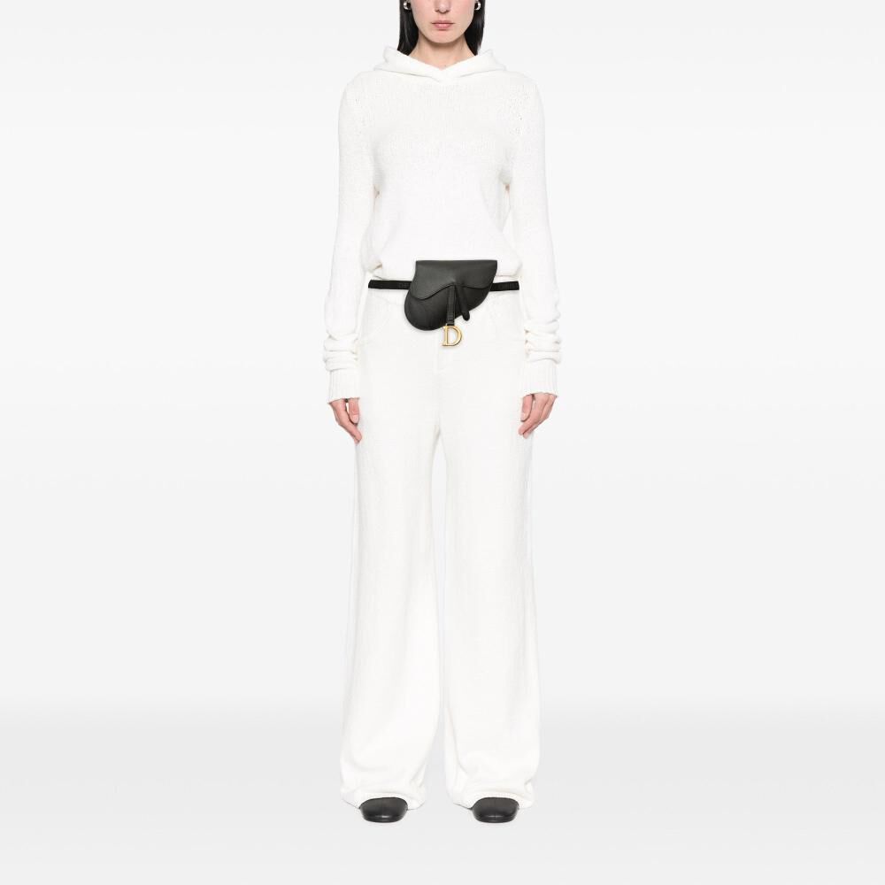 Dior Belt Bag
