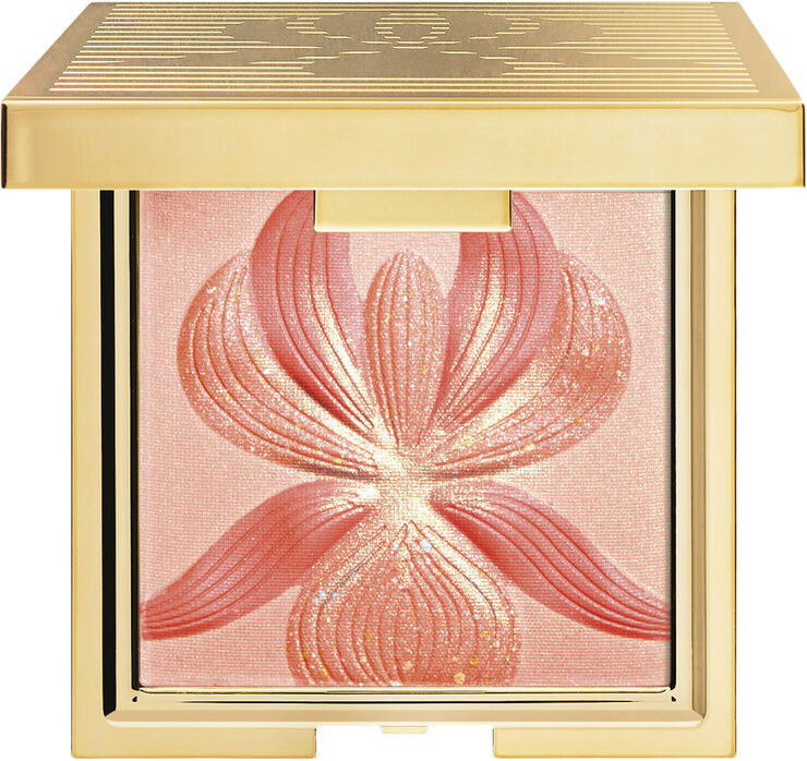 Palette l'Orchidée - highlighter blush