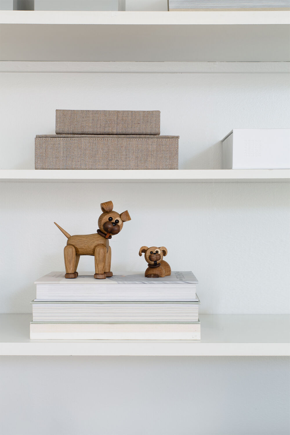 Coco Hvalp/Puppy liggende