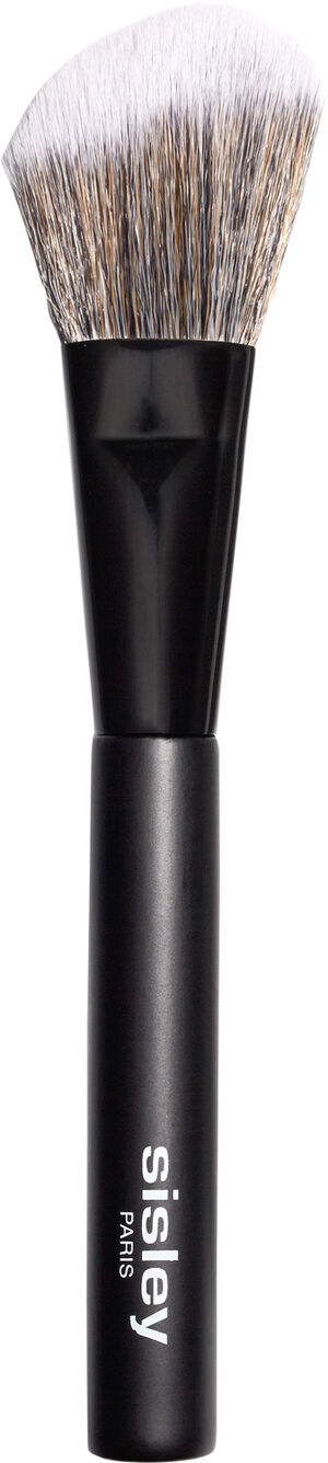 Blush brush - Pinceau Blush