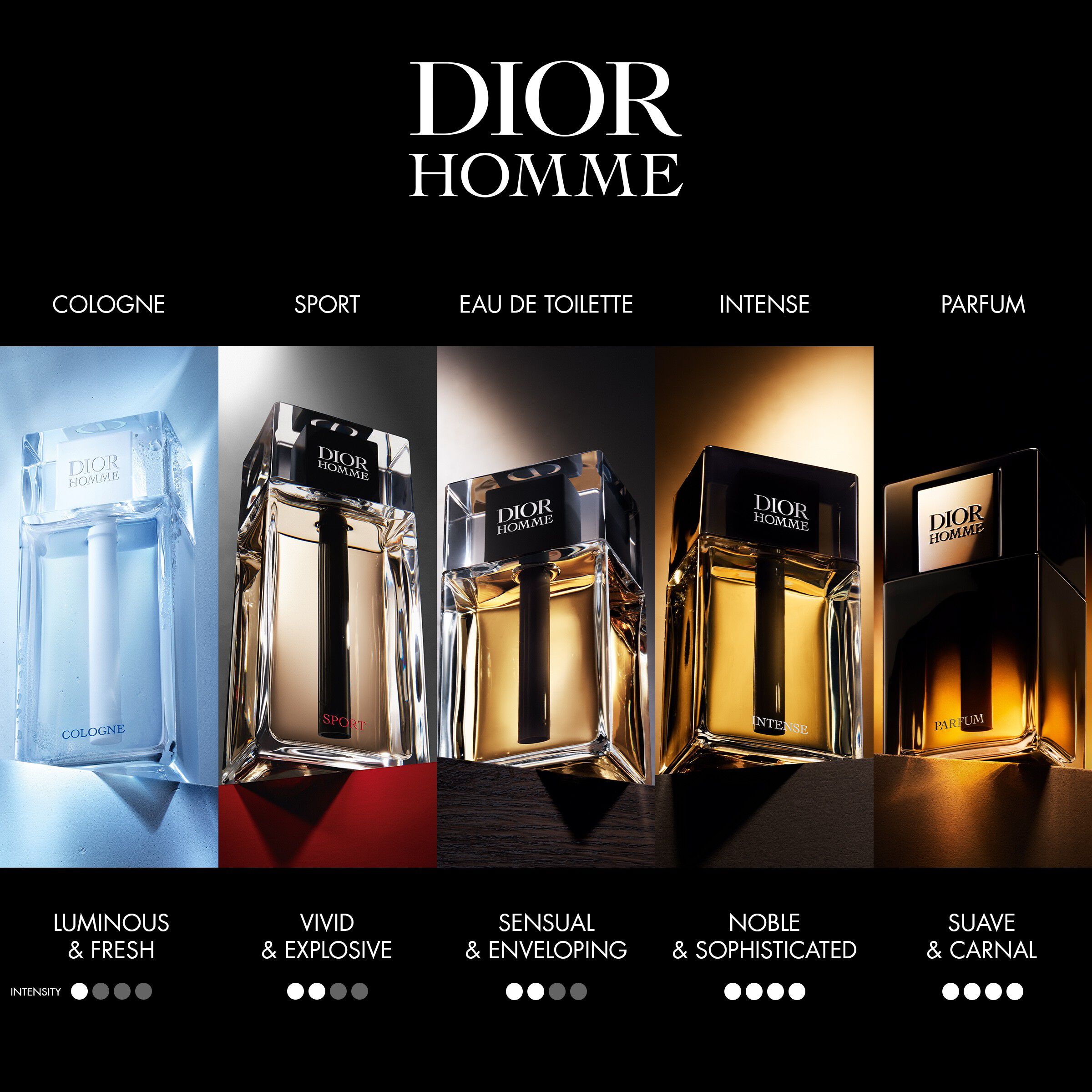 Dior Homme Parfum Fragrance