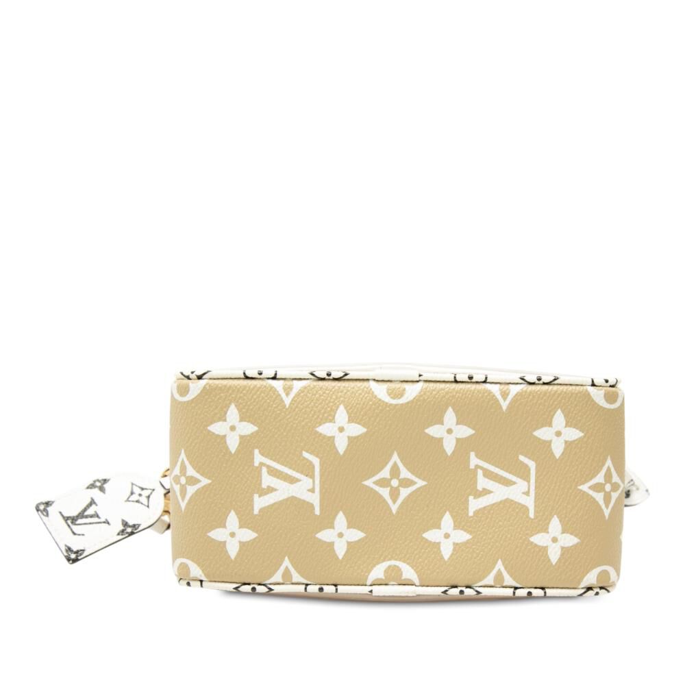 Louis Vuitton Pouch