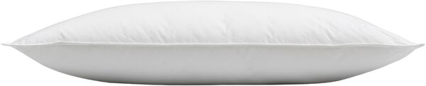Høie Allergo AAN Pude lav 50x70