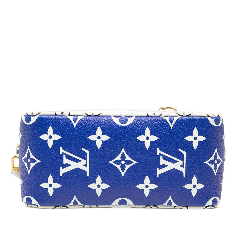 Louis Vuitton Pouch