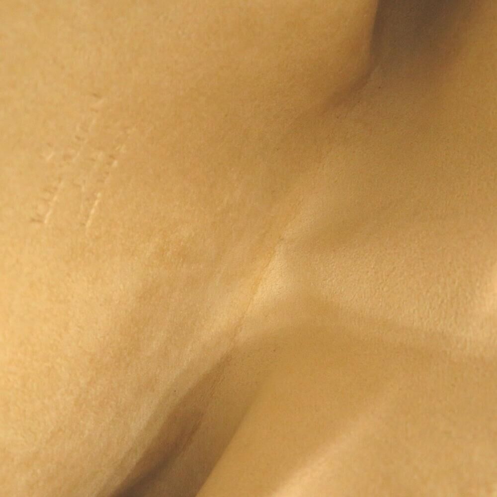 Louis Vuitton Twin Pochette