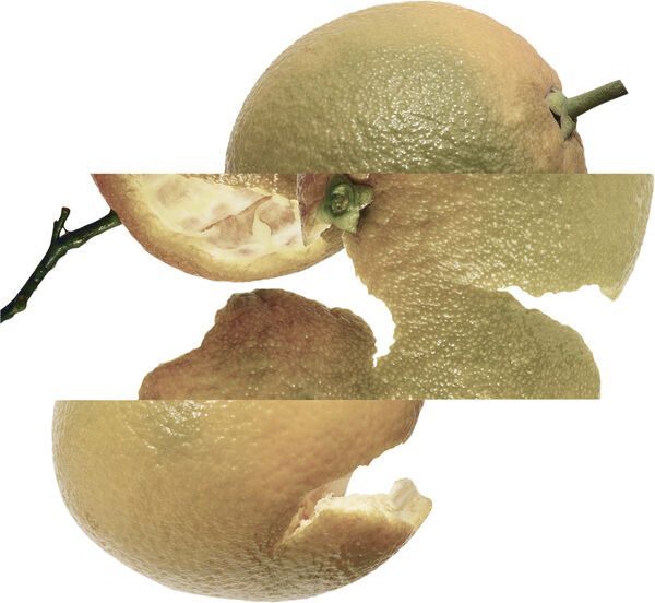 Eau d'orange verte Eau de Cologne