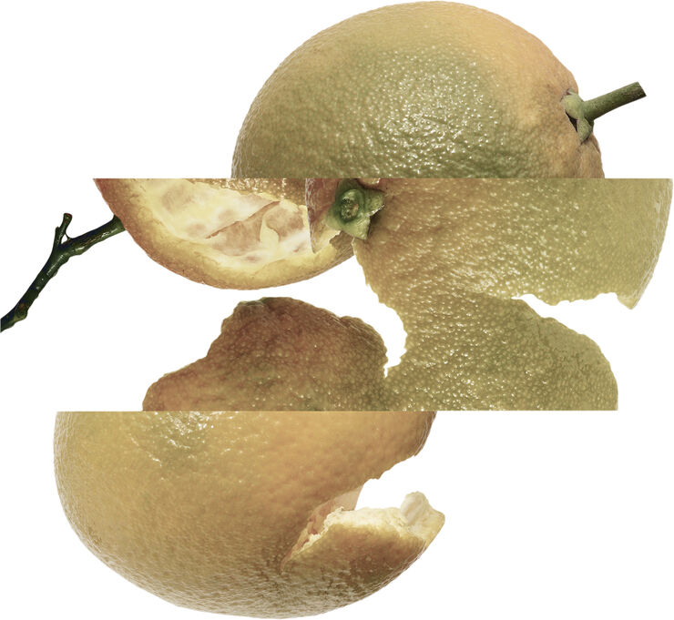 Eau d'orange verte Eau de Cologne