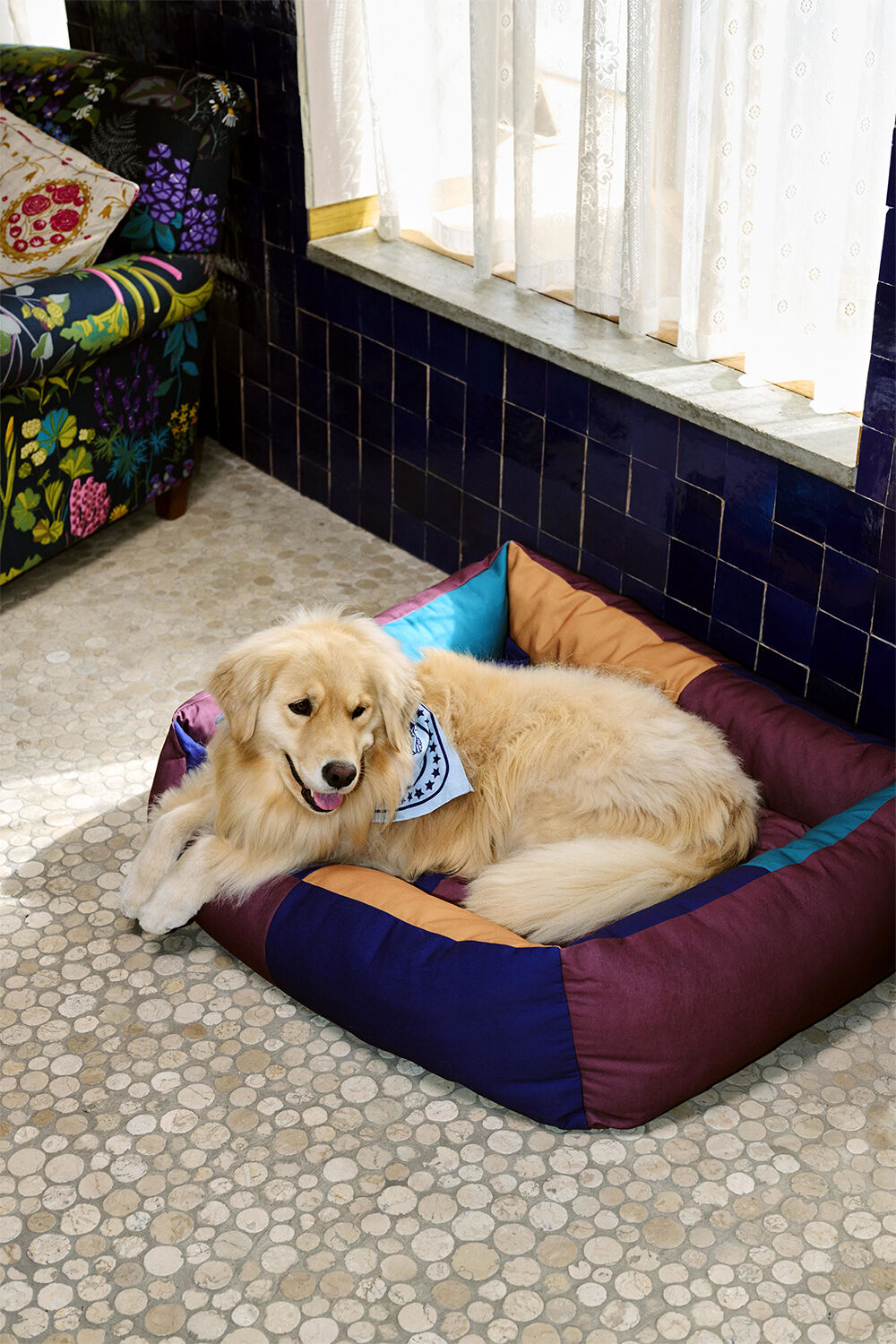 HAY Dogs Bed-Large-Burgundy, green