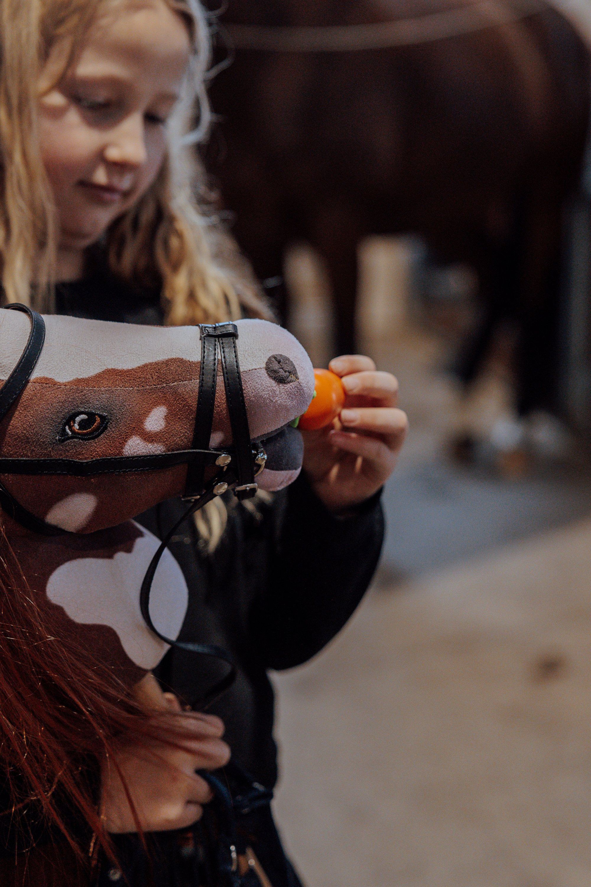 K&AElig;PHEST. COCO, R&Oslash;DBRUN/HV