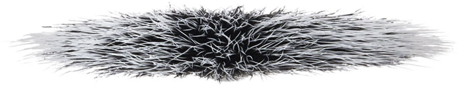 Brushes - 184S Duo Fibre Fan