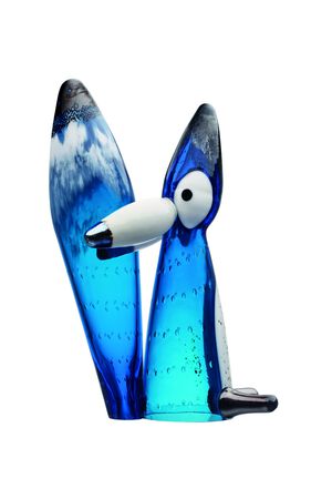 Vulpes polar ræv