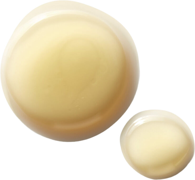 Ferulic Brew Rejuvenating Facial Essence