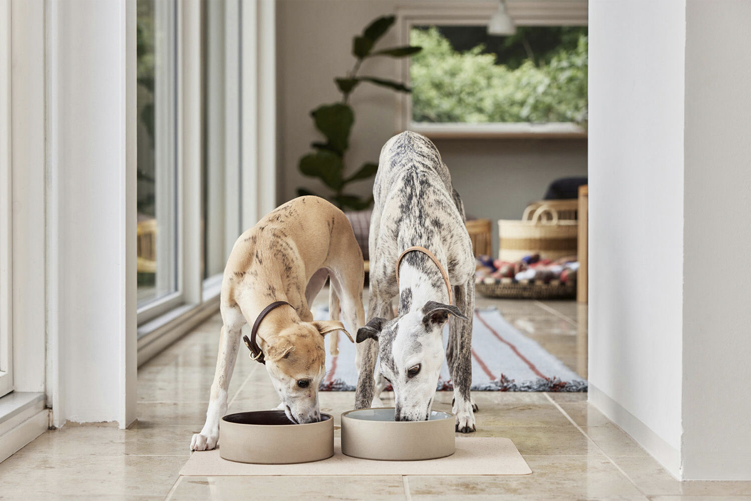 Koko Hundesk&aring;l M&aring;tte