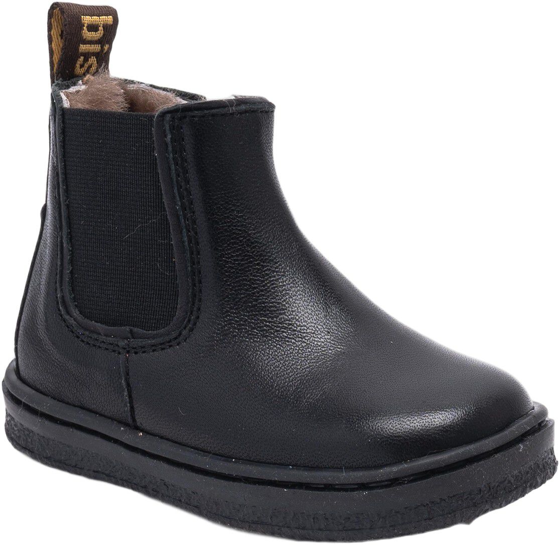 Bisgaard Phillip Lamb