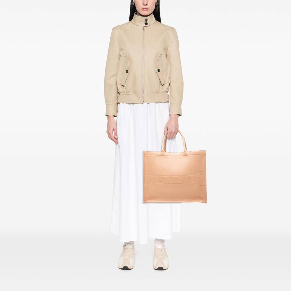 Dior Book Tote
