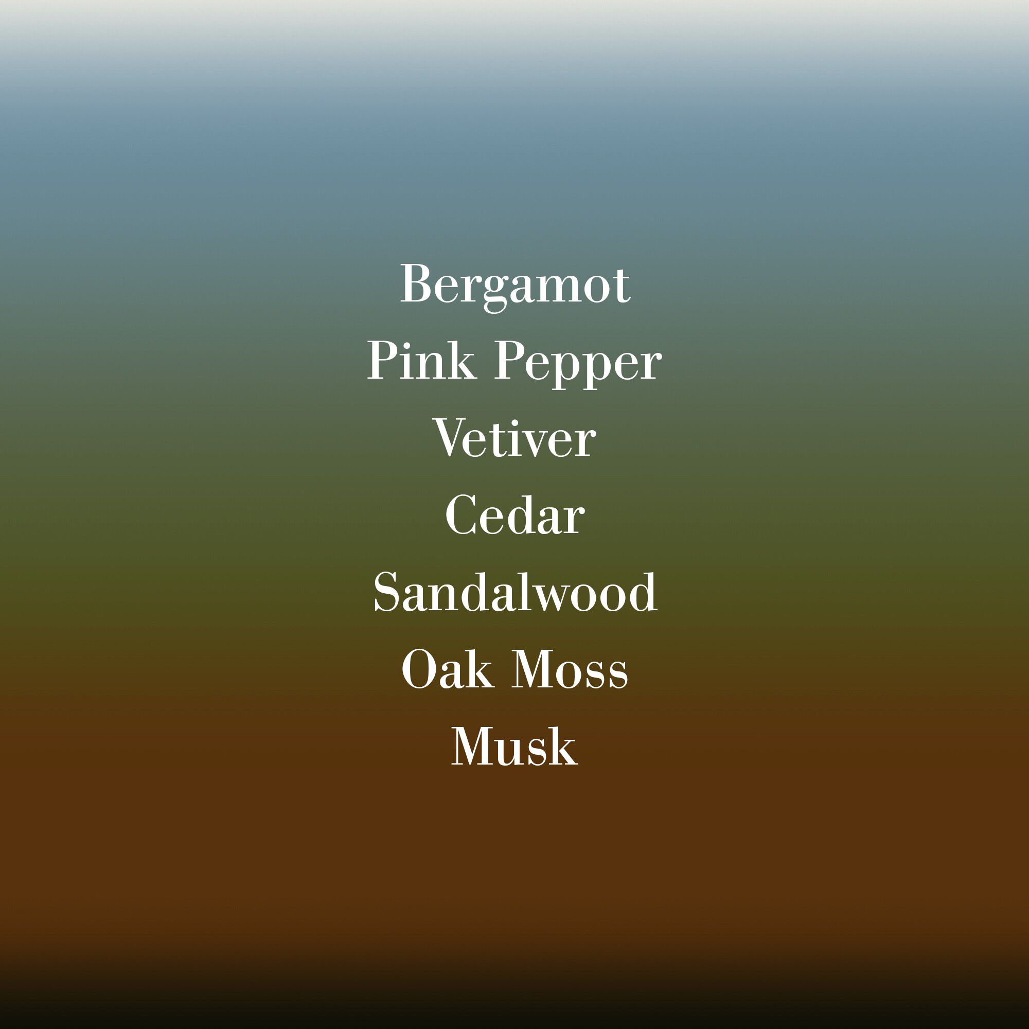 VETIVER EXTRAORD ASMB 50ML/1. 7FLOZ