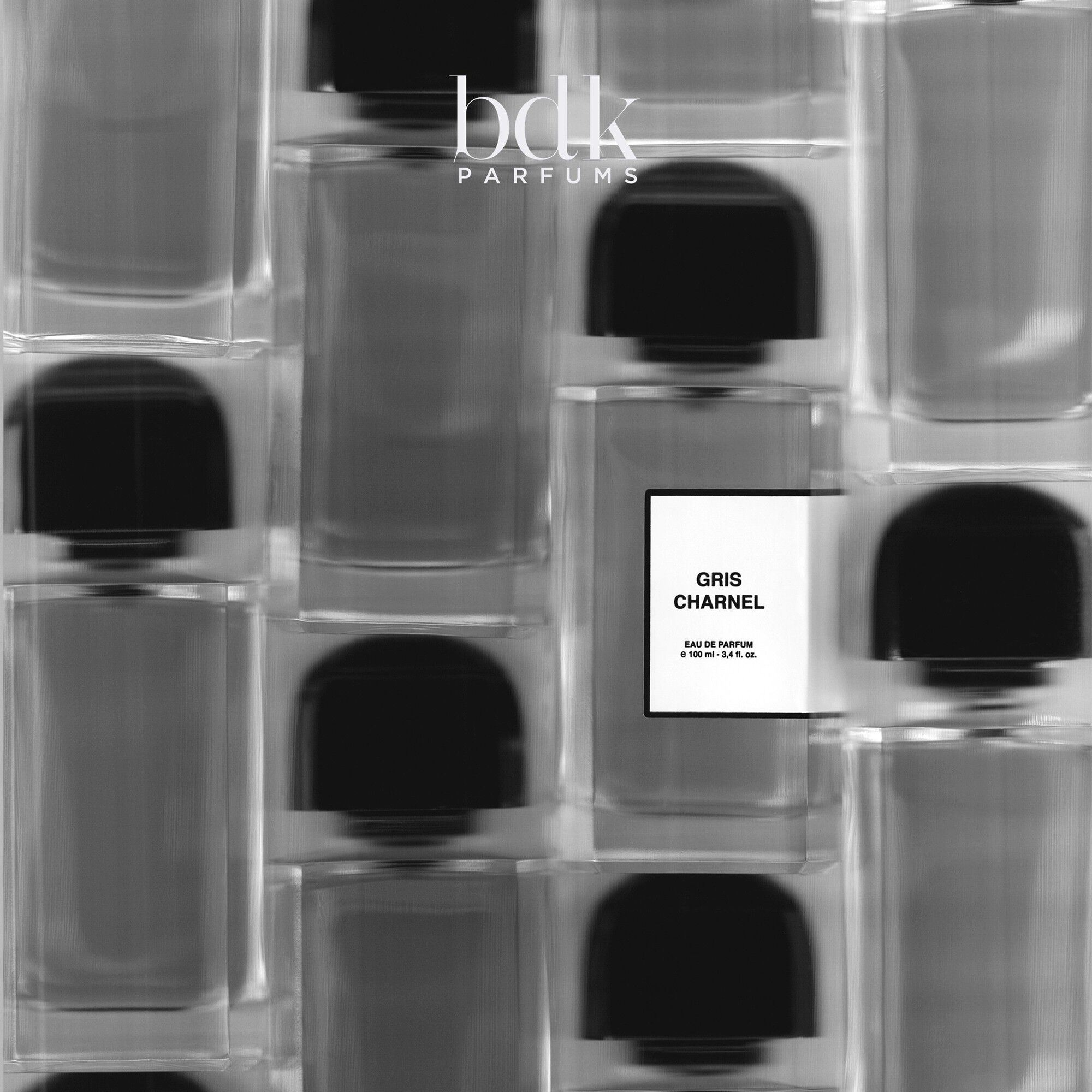 GRIS CHARNEL - Eau de Parfum 100 ML