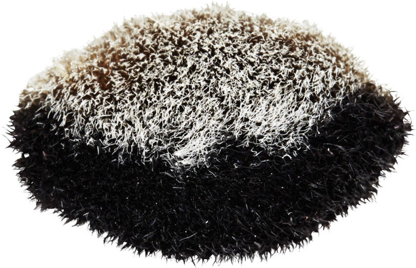 Brushes - 127S Split Fibre Face