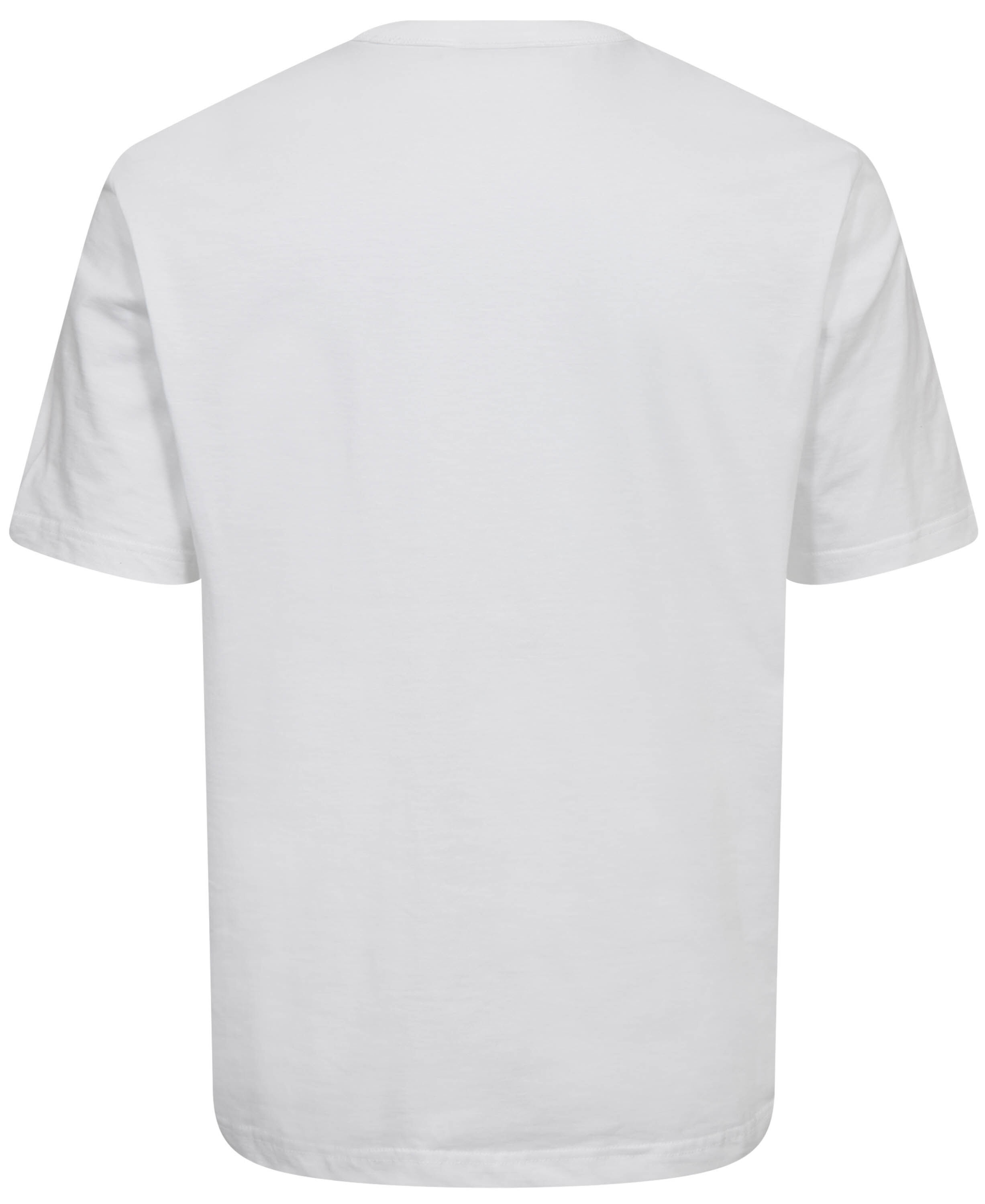 MENS CASUAL FIT SS T SHIRT TEDDY