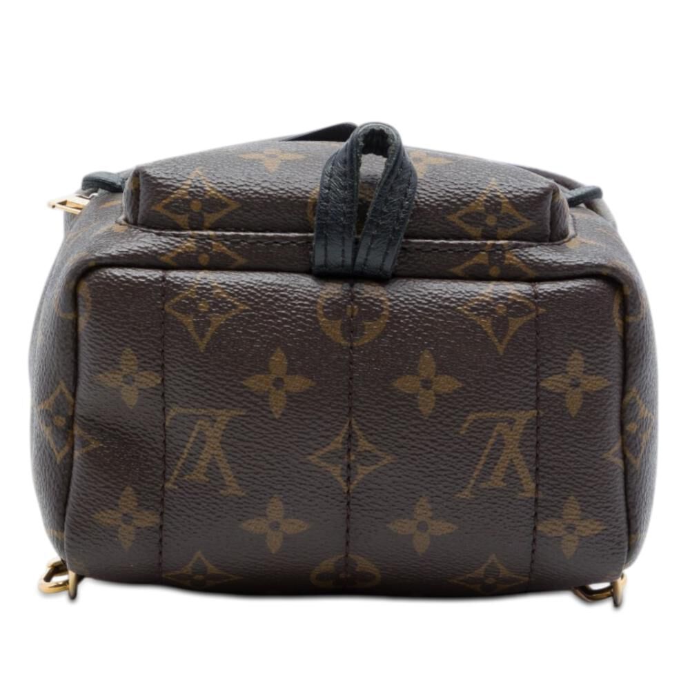 Louis Vuitton Palm Springs