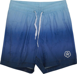Swim Shorts, AOP & Magic
