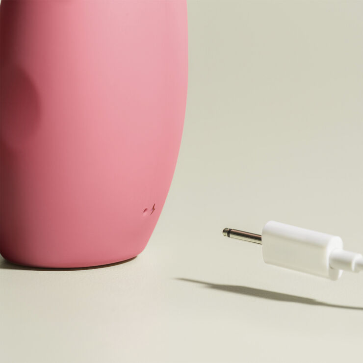 The Artist Rabbit Vibrator