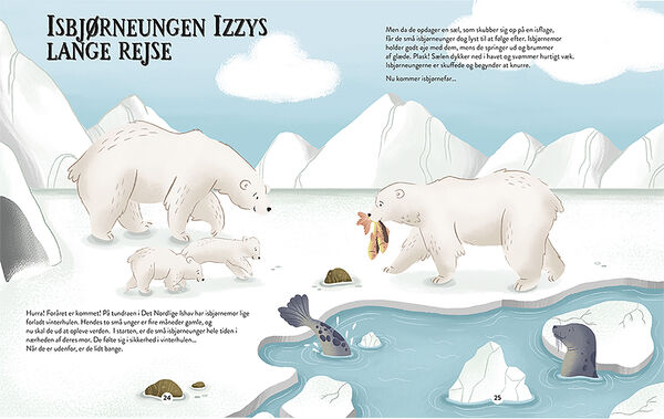 Forlaget ROOM2PLAY - Sådan passer vi på Jorden