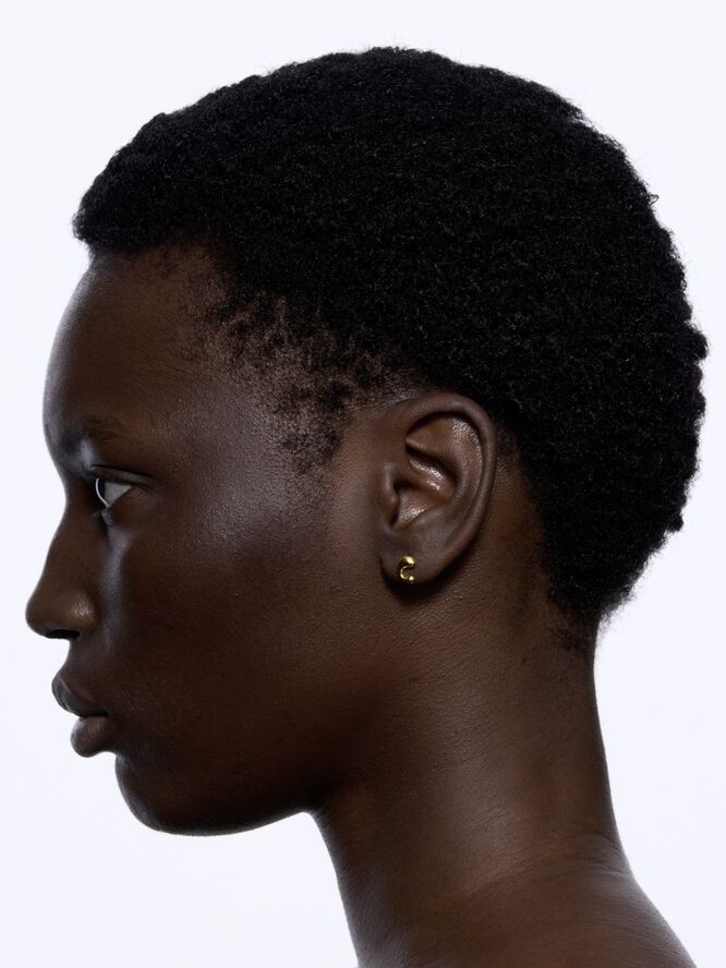 Dolphin Pool Stud Gold