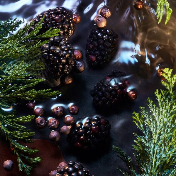 ELYSIUM NOIR POUR HOMME EDP 100 ML