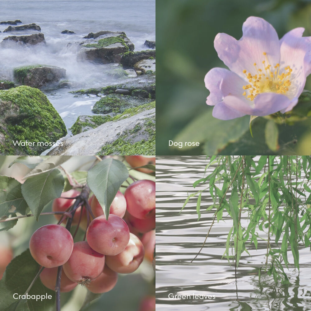 &Oslash;Y Scent Diffuser 100ml