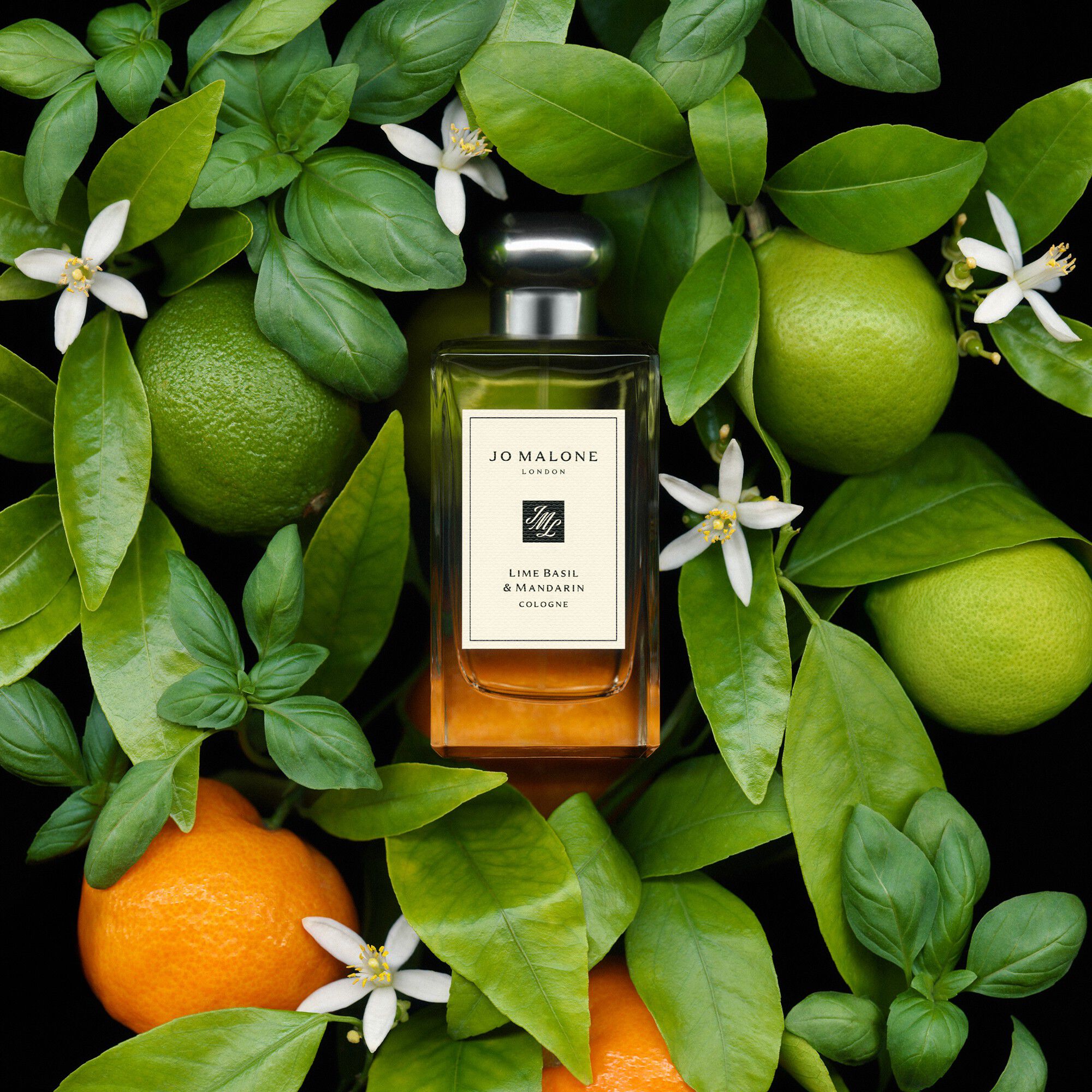 Lime Basil & Mandarin Cologne