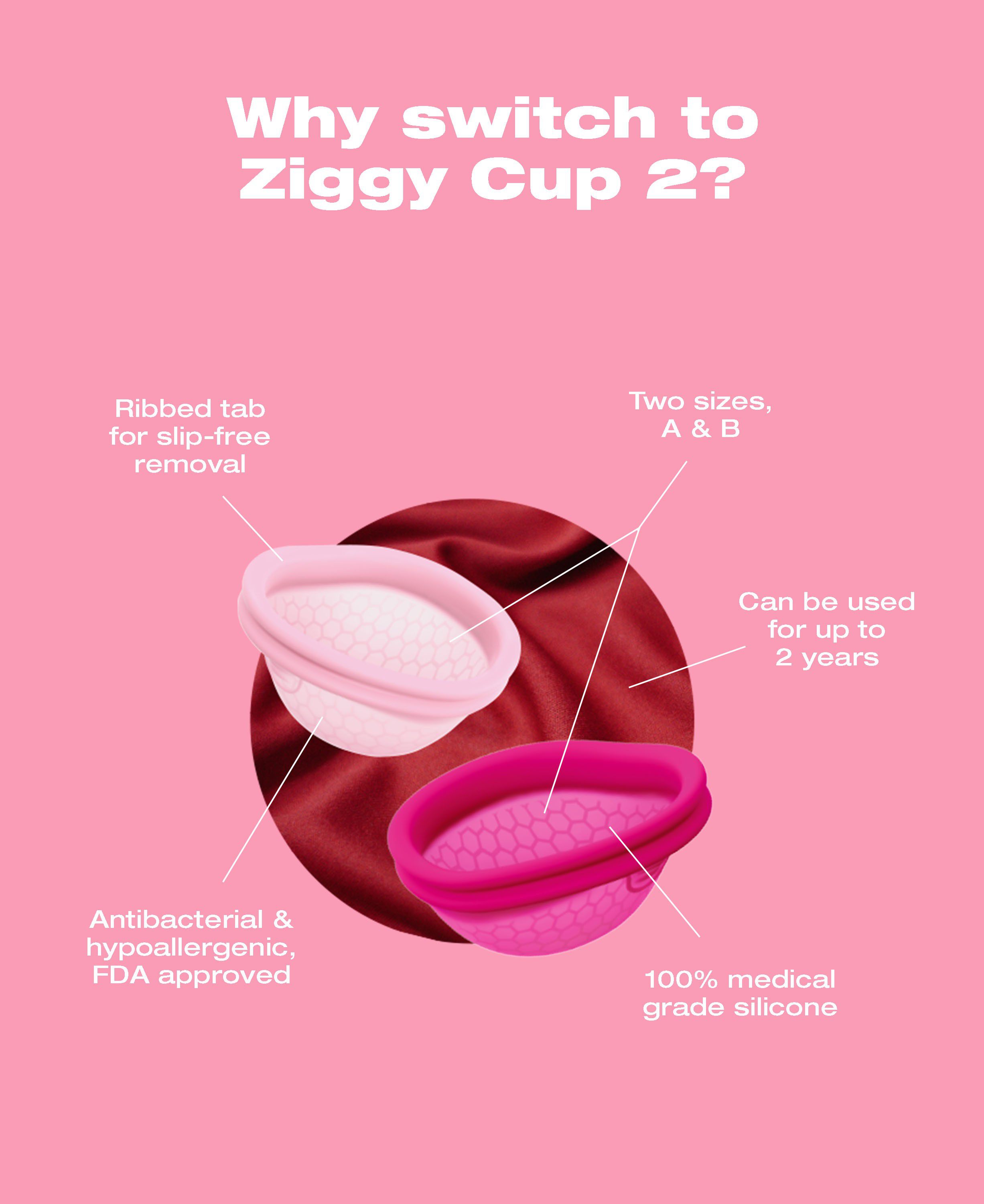 Ziggy Cup 2 Size B