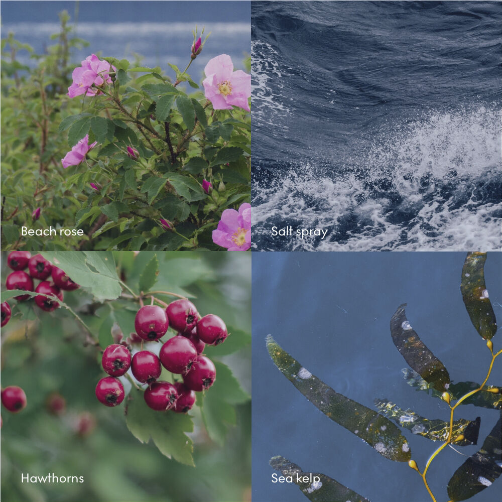 HAV 30ml Mini Hand Cream