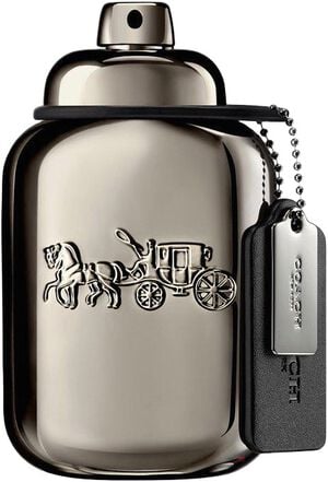 Pure Platinum Parfum