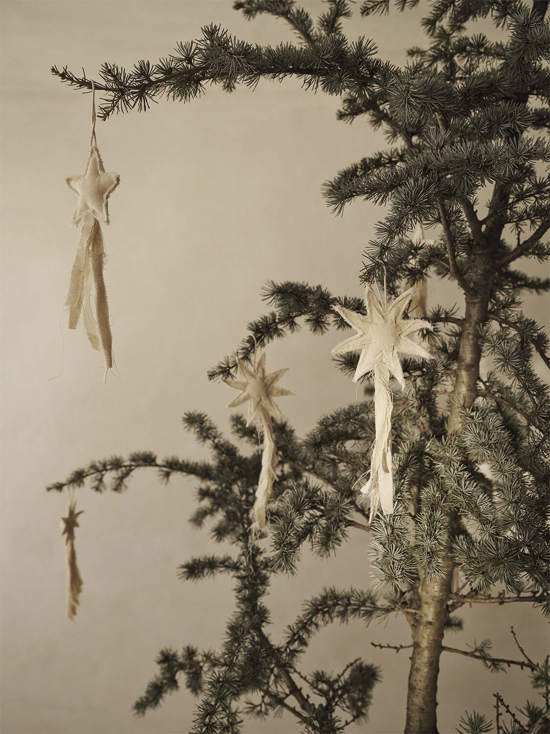 Vela Star Ornaments - Set of 4 - Natural