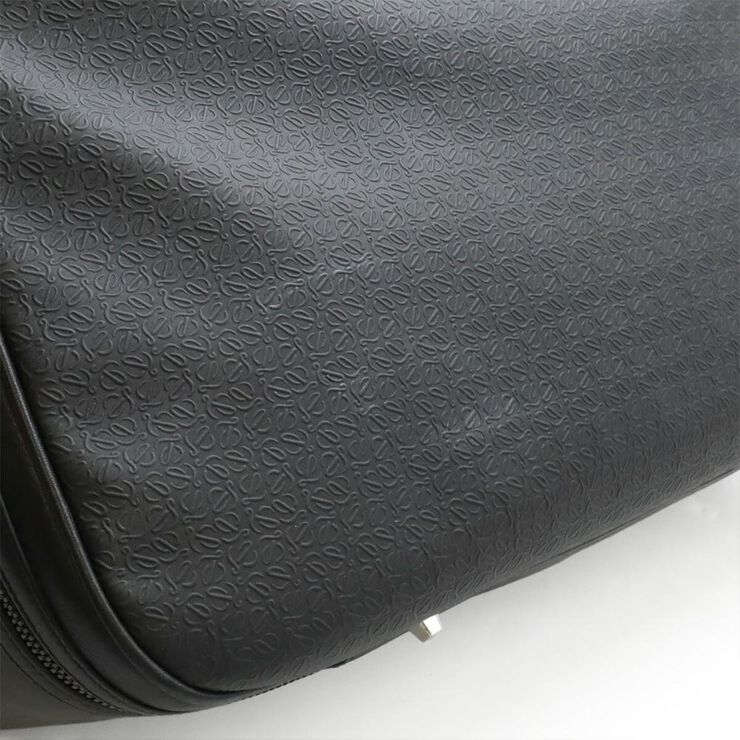 Loewe Travel Bag