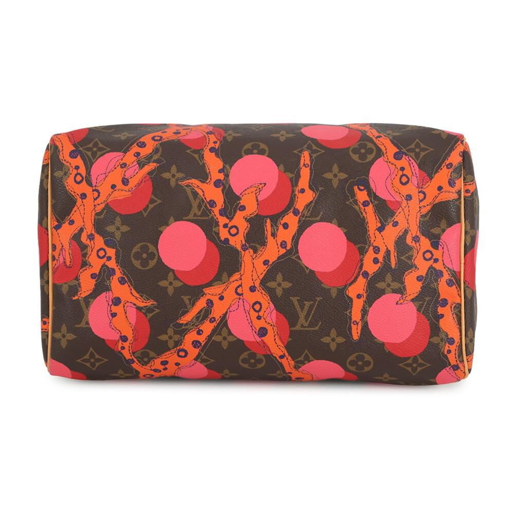 Louis Vuitton Speedy