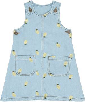 TNSTSaja S_L Denim Dress