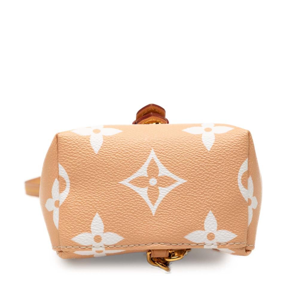 Louis Vuitton Backpack