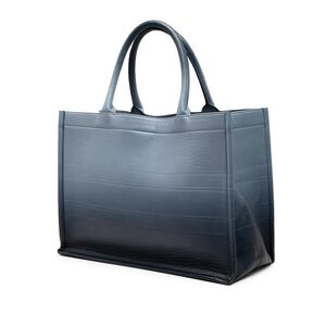 Dior Book Tote