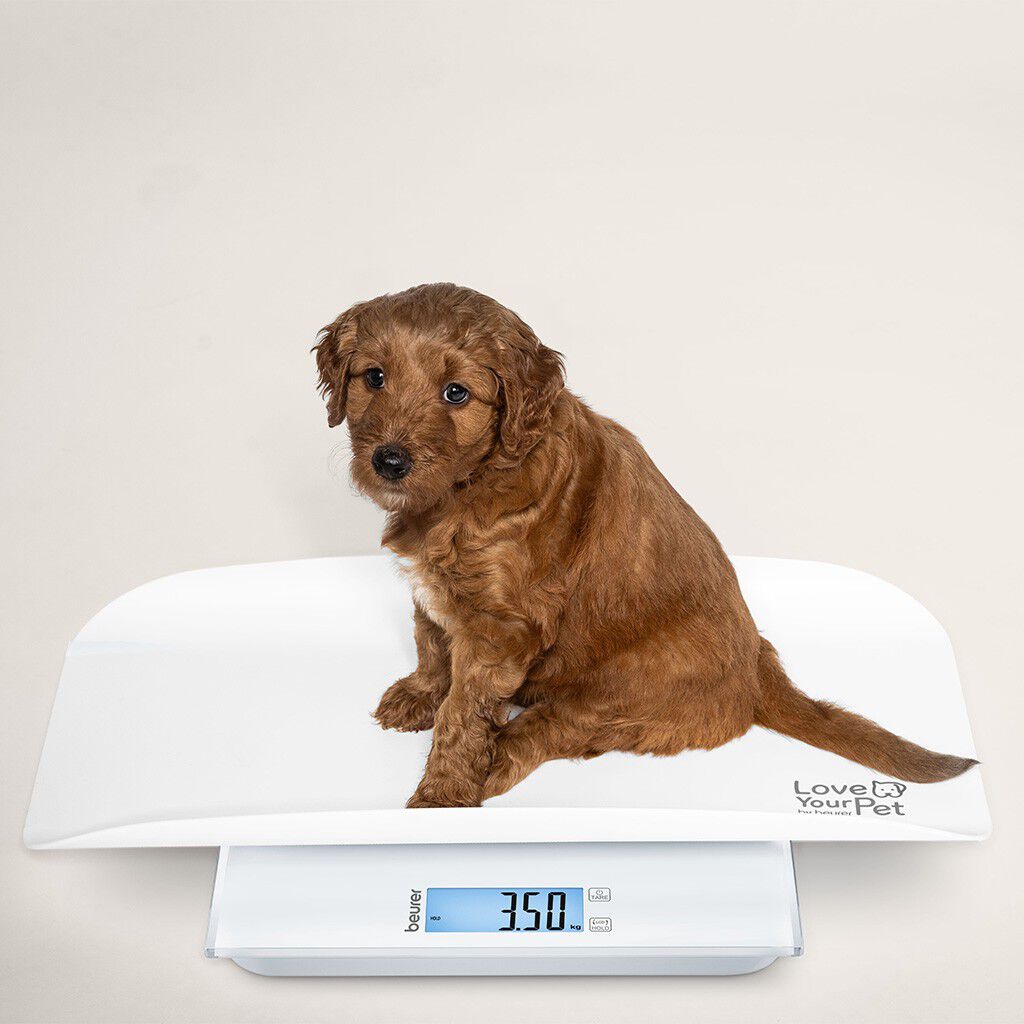 PetCare PP 170 Polly Multifunktionsv&aring;g f&ouml;r husdjur