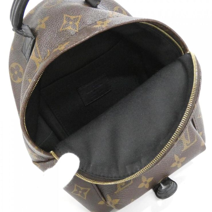 Louis Vuitton Palm Springs