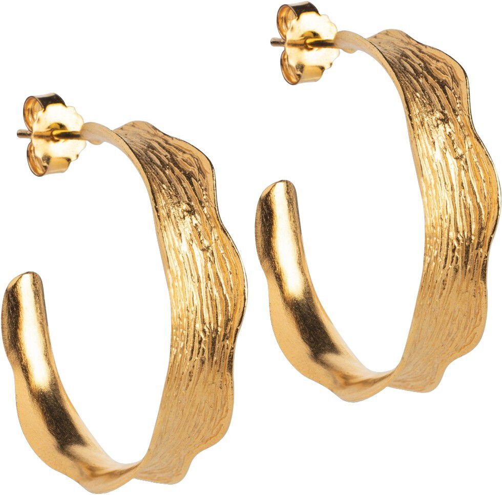 Hoops, Ane Large