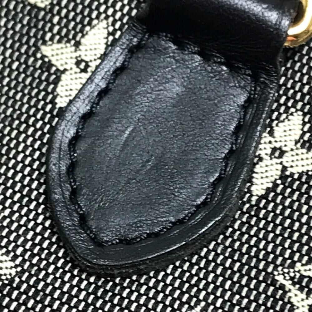 Louis Vuitton Pouch