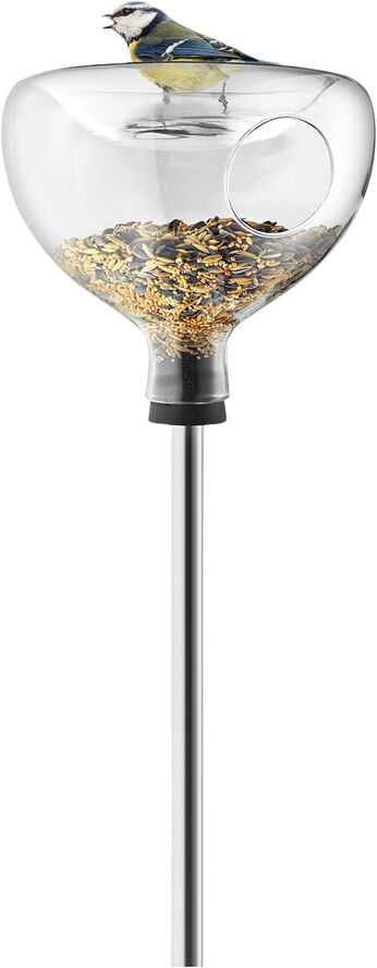 Glasfoderbræt med vandbad