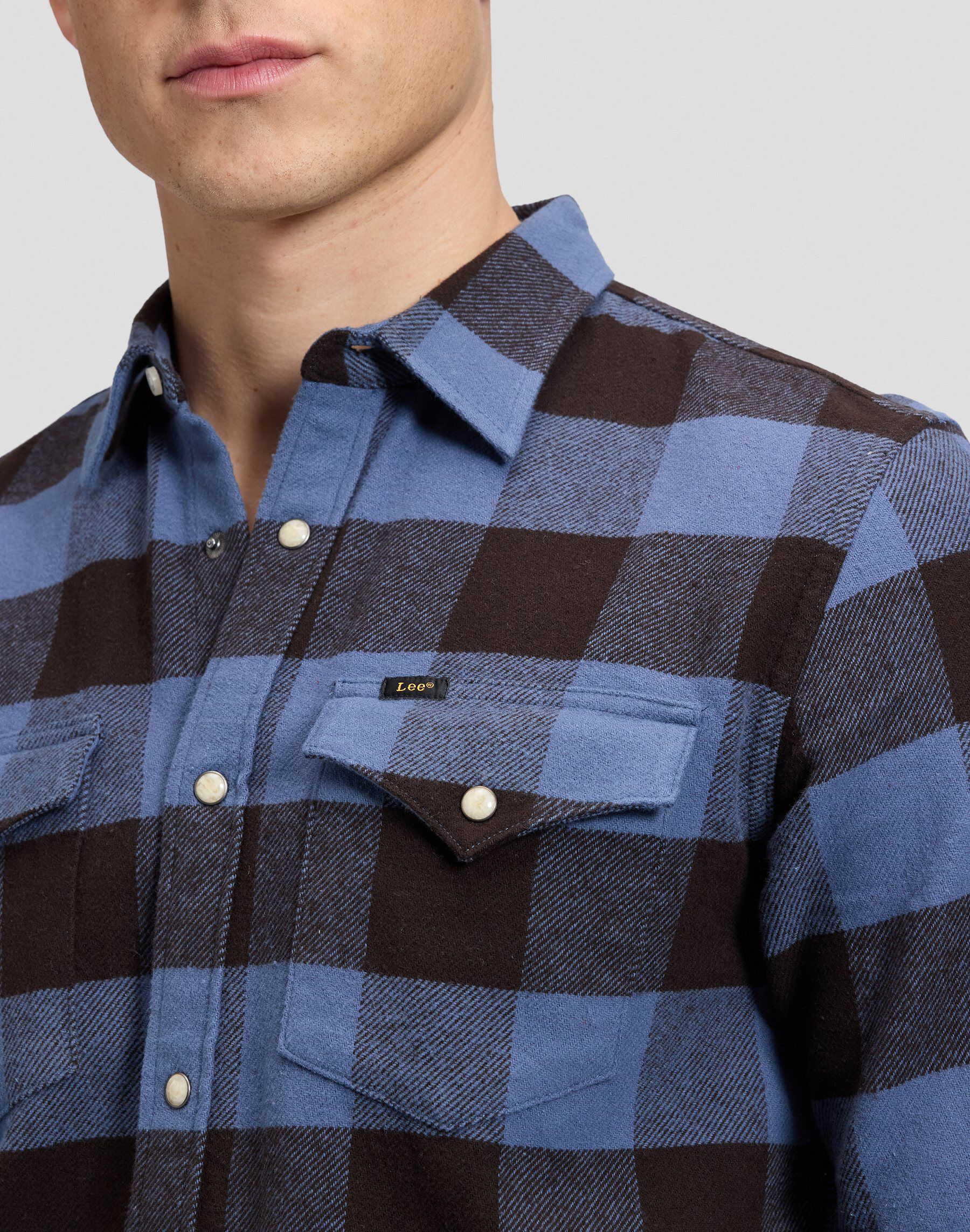 CLEAN_WESTERN_SHIRT CHOCOLATE_TORTE