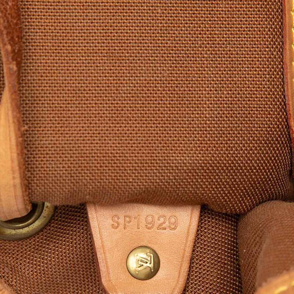 Louis Vuitton Montsouris