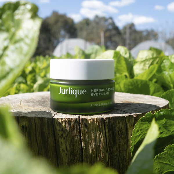 Herbal Recovery Eye Cream